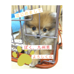 Manami_20251224191831