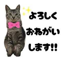 dayama_20251224192137