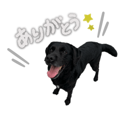 NsoraN_20251224212334