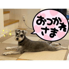 GONDAWARA_20251224212644