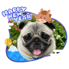 Nontan_20251224213006