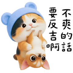 Panda Cat: Patients with Harmonic Cancer