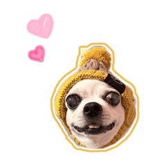 吳小亮の小日子