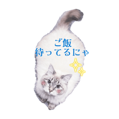 Maymay_20251224212201