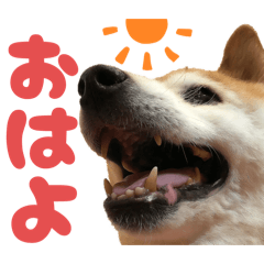 YUKA_20251225001017