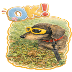 うちの子スイーツアソート”DION”