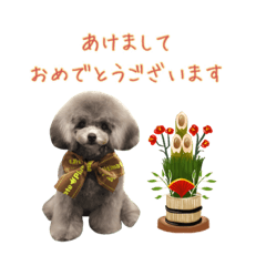 maru azarashi_20251224225449