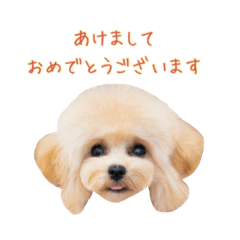 maru azarashi_20251224225759