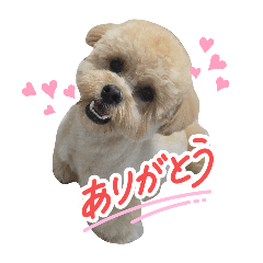 naana_20251224225337