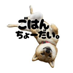 nagi.a_20251224225221