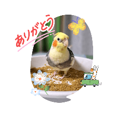 toshiaki_20251224225425