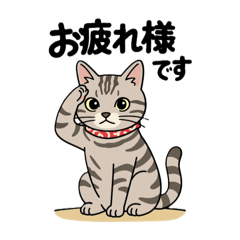 kawamitsu_20251225062006