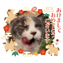 Keity_20251225071629