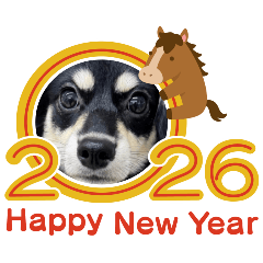 arohanoa_20251225072419