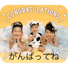 koguma_20251225071746