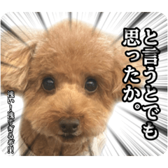 nemui_20251223134411