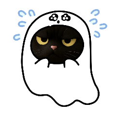 不知道的貓咪去旅行了