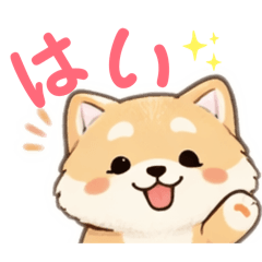 Shiba Inu with white socks