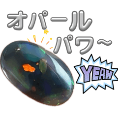 surume_20251223135256