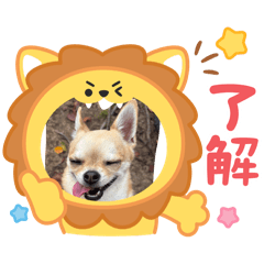 MASA_20251224151331