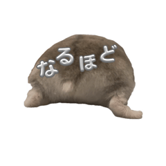 defuku_20251225025933