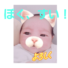 IYORI_20251223150214