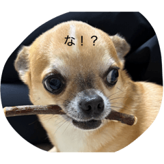 niiy1208_20251224234204