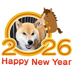 Shibainusama_20251225075333