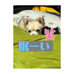 ryuto_20251224202743