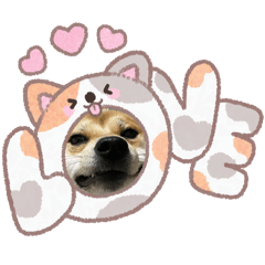 sorasakura_20251225112041