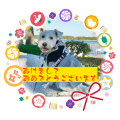 CELOTEH_20251224202400