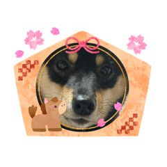 misato_20251225112011