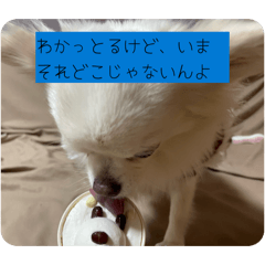 akina_20251225113420