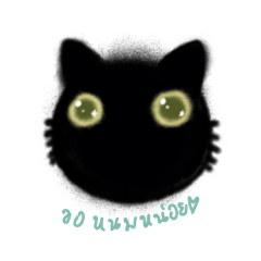Mika The Black Cat 2