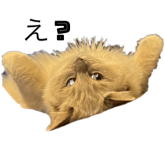 ebiten_20251224214616