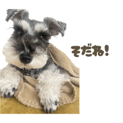 natyu_20251224214533