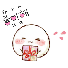 y.island_20251224225248