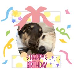 noamoconooya_20251225130758