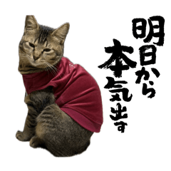 Namie_20251225131954