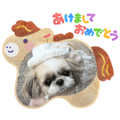 cocoa_20251224230618