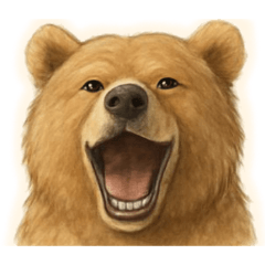 moto (*^o^*)_20251225131954