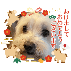 yukio_20251224231952