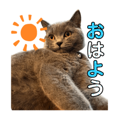 RERERE_20251224215425