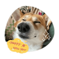 MoMo-chi_20251224214627