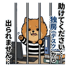 Prisoner Pomeranian: Work&Business