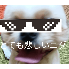 MKKBI_20251223192128