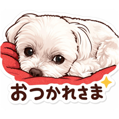 Koko_20251225011135