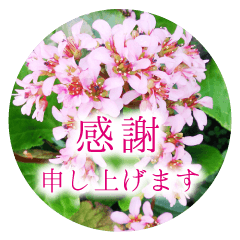 Floral respect language Sticker