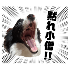 imomochi_20251224231806