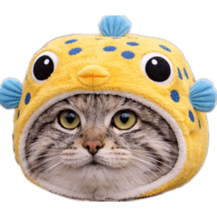 KATO PAINTER_20251225082443